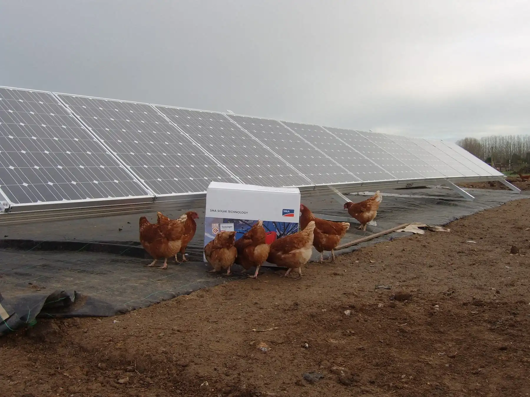 Ground mounted solar array
